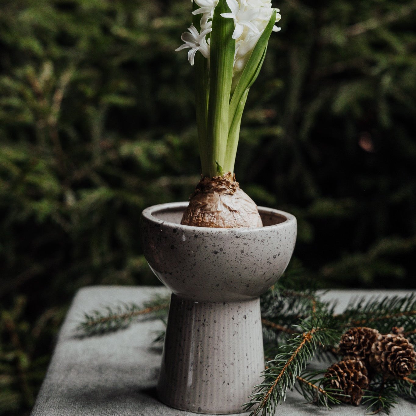 Leryd vas från Storefactory, hög, natur