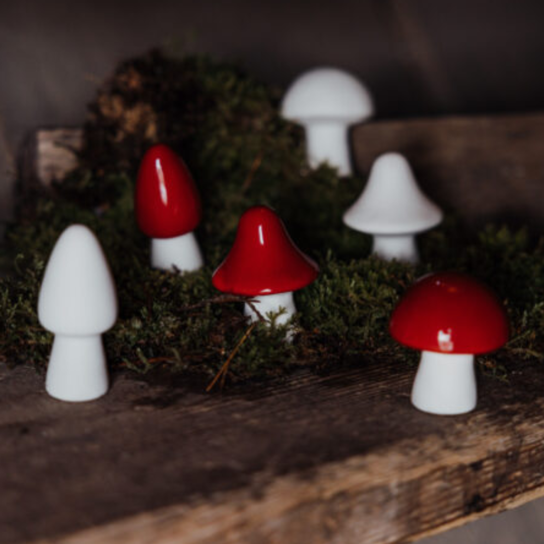 Bovik svamp från Storefactory, röd