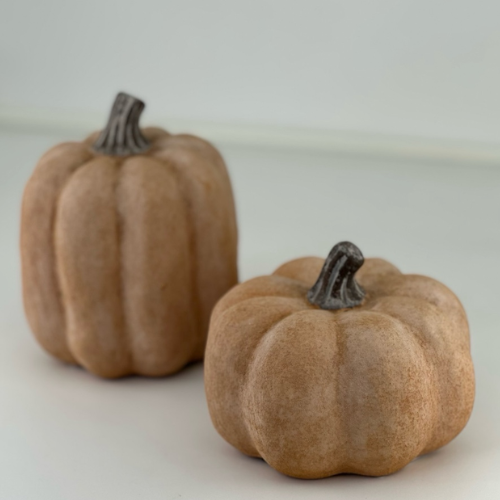 Pumpa från Miljögården, orange