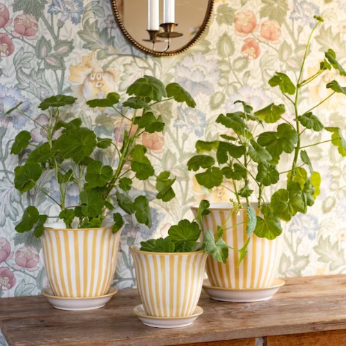 Randig kruka Miriam från Strömshaga, vit/gul, mellan