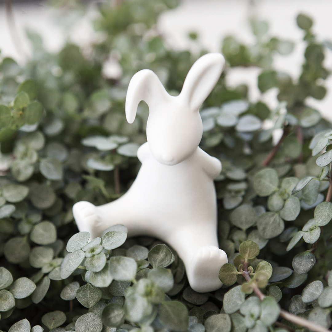 Stampe hare från Storefactory, vit