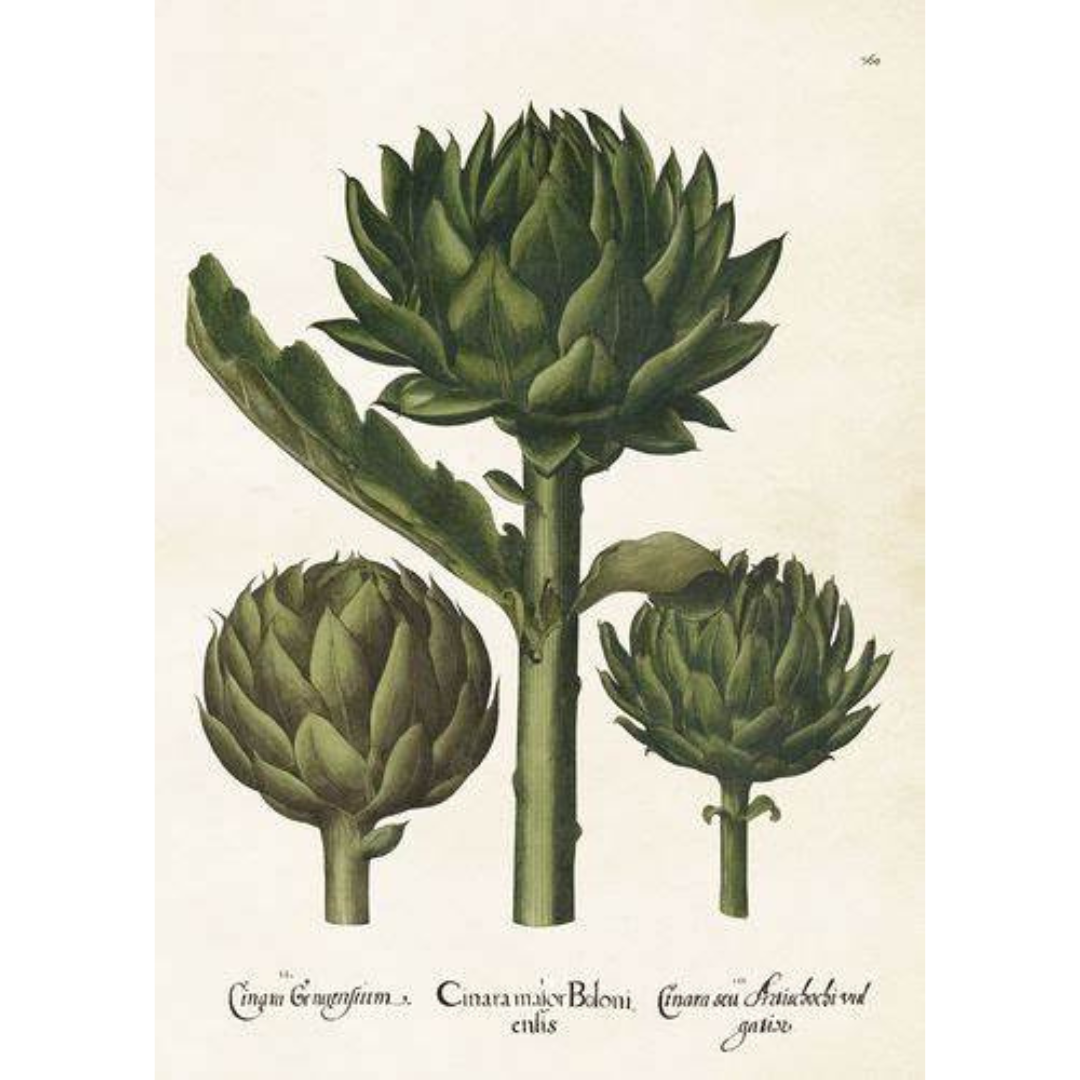 Poster Kronärtskocka från Sköna Ting, 50x70cm