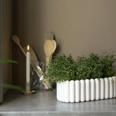 Mist kruka från Dbkd, vit, liten avlång