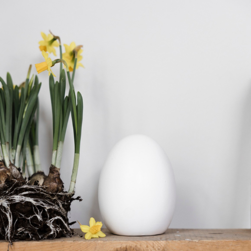Bjuv ägg från Storefactory, vit, stort
