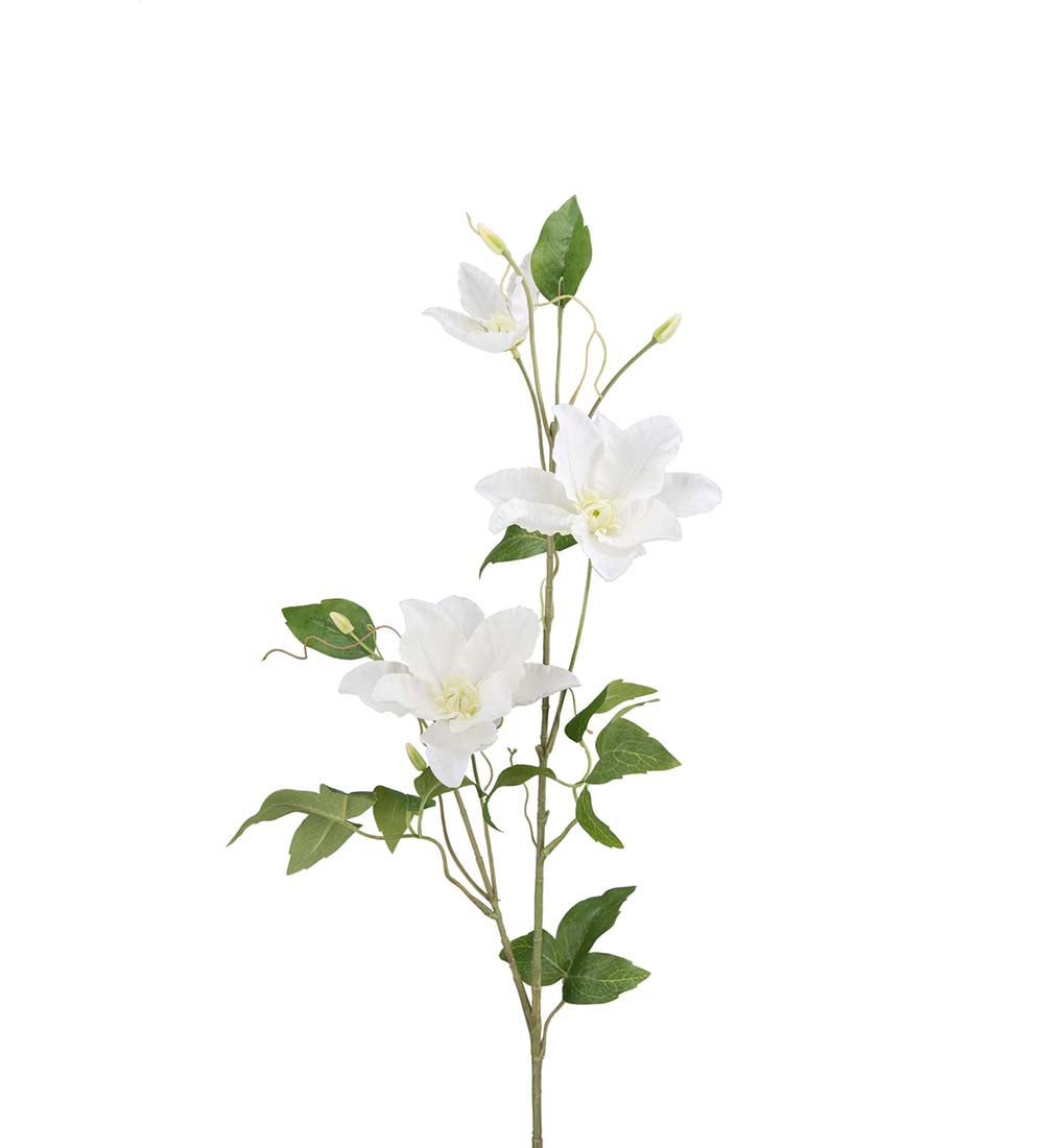 Clematis plastblomma från Mr Plant, vit
