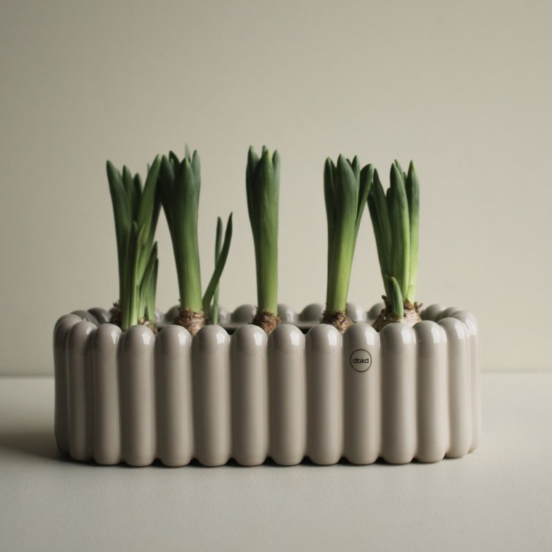 Mist kruka från Dbkd, beige, liten avlång