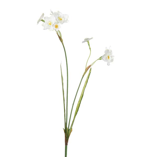 Narciss plastblomma från Mr Plant, vit