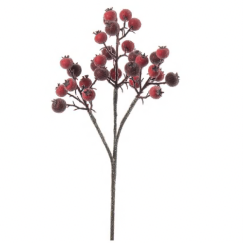 Nyponkvist med is, från Mr Plant, 38 cm