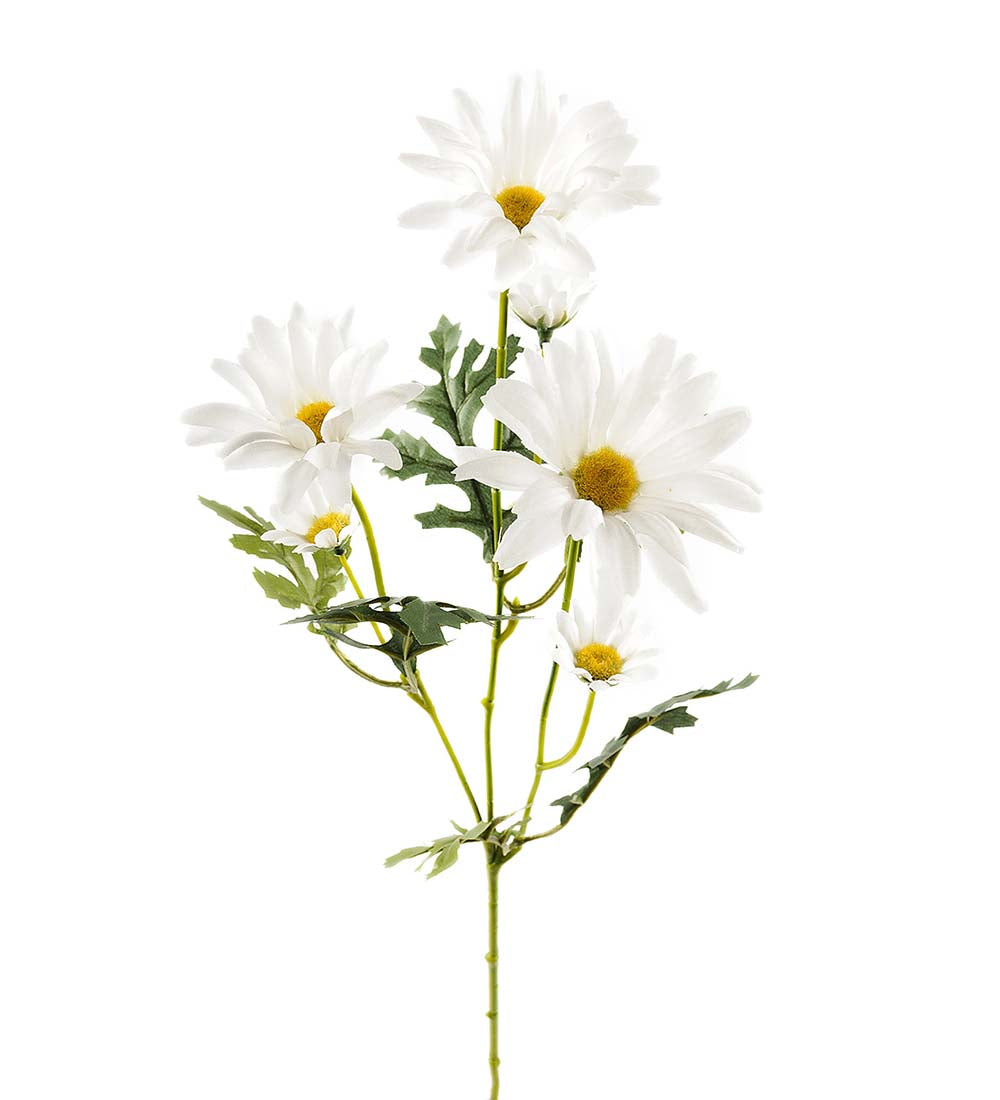 Prästkrage plastblomma från Mr Plant, vit