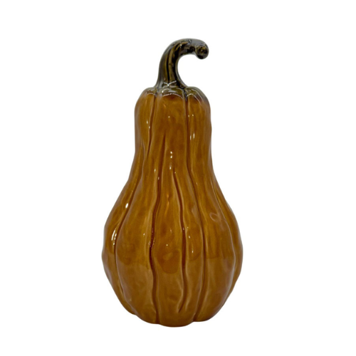 Pumpa från Miljögården, orange