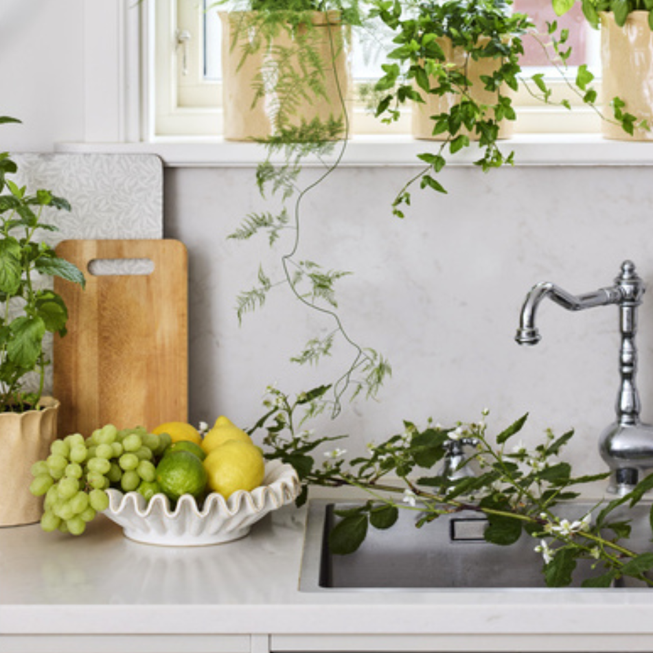 Ronald fat från Consilimo, vitt, litet, inredning, skål