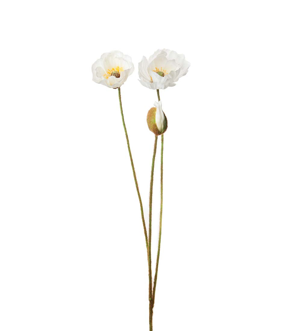 Vallmo plastblomma från Mr Plant, vit
